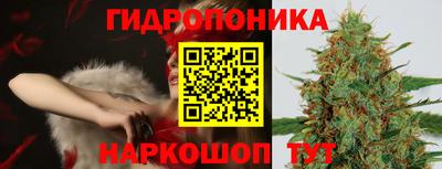 mdpv Новодвинск